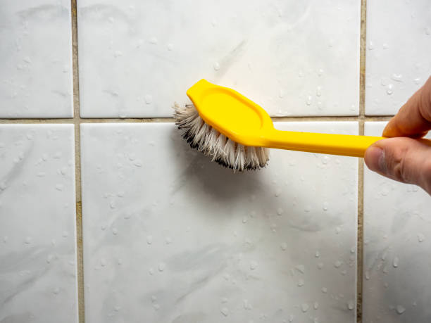 Best Post-Remediation Services in Mallory, WV