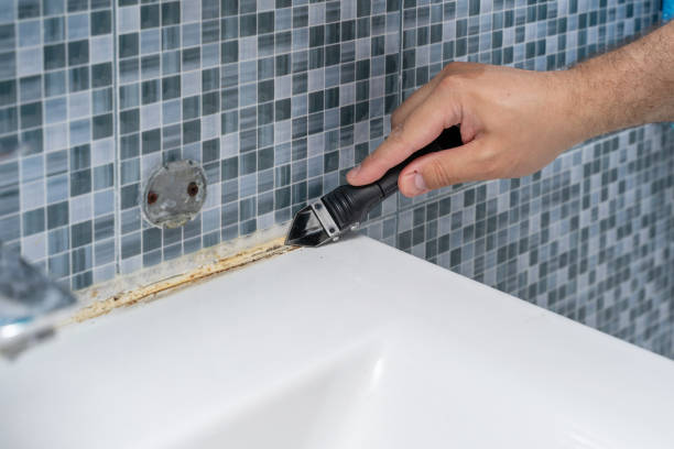 Best Preventive Mold Services in Mallory, WV